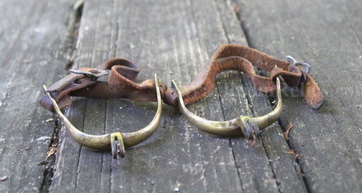 Click here to see the details of this item