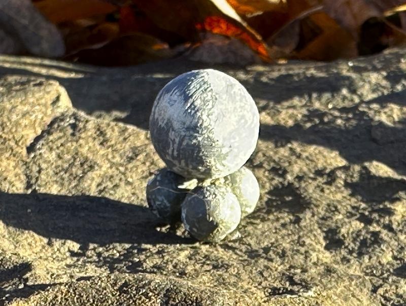 Click here to see the details of this item